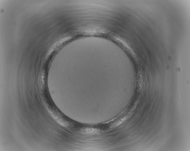 X0000087700590200706011747