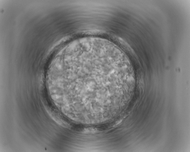 X0000087700591200706011747