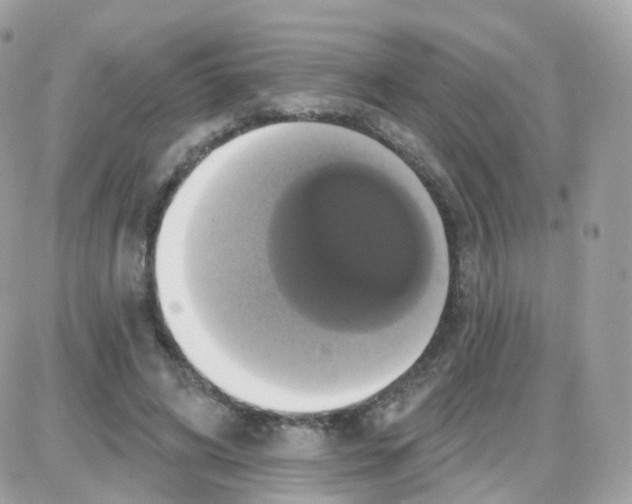 X0000087700592200706011747