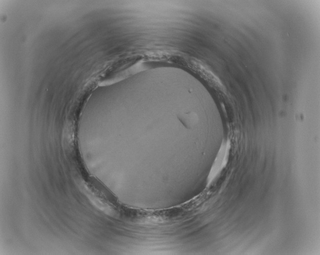 X0000087700593200706011747