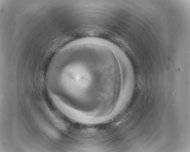 X0000087700594200706011747