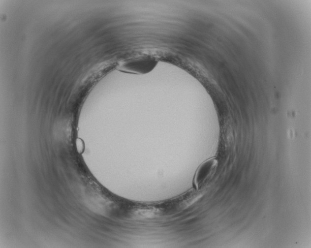 X0000087700595200706011747