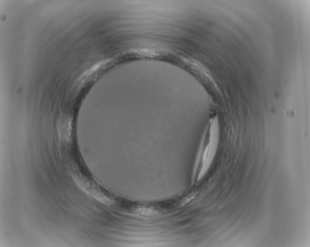 X0000087700596200706011747