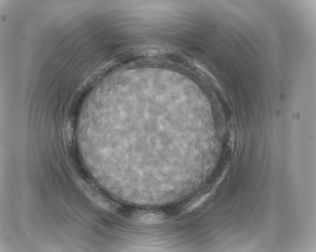 X0000087700597200706011747