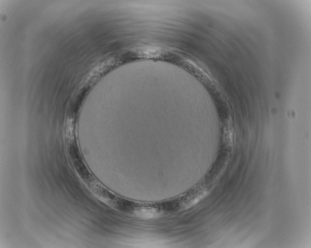 X0000087700598200706011747