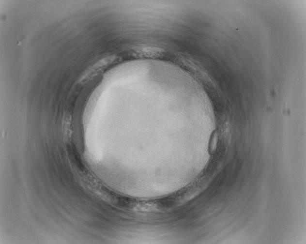 X0000087700599200706011747