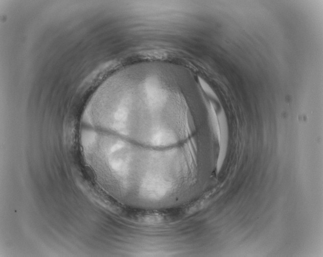 X0000087700600200706011746