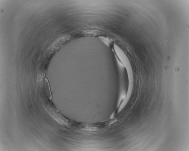 X0000087700601200706011746