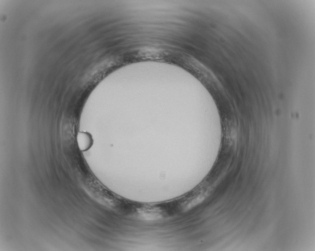 X0000087700603200706011746