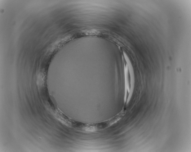 X0000087700604200706011746