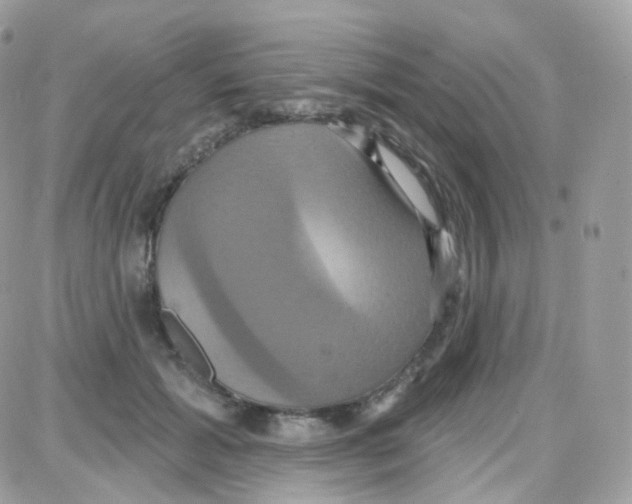 X0000087700605200706011746