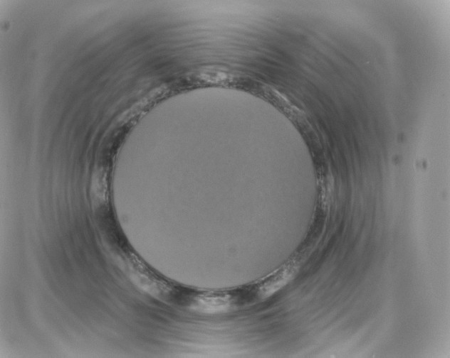 X0000087700606200706011746