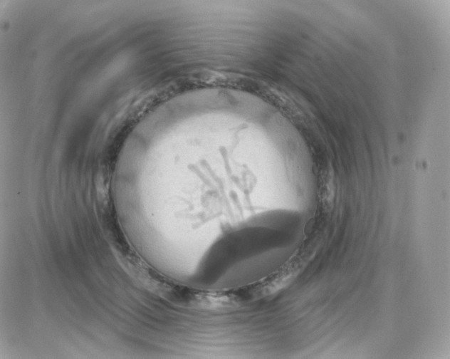 X0000087700607200706011746