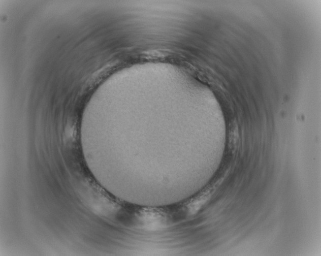 X0000087700608200706011746