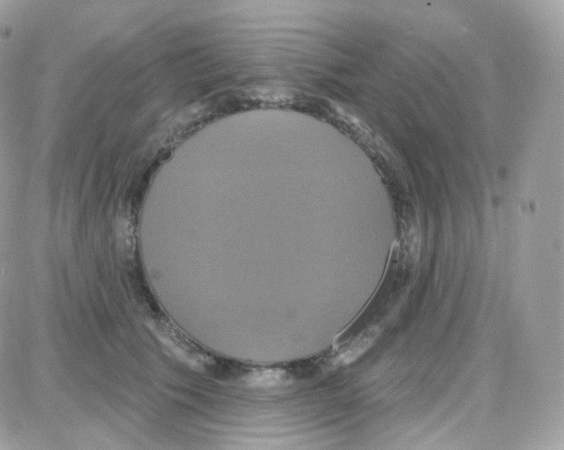 X0000087700609200706011746