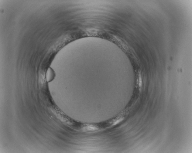 X0000087700610200706011746