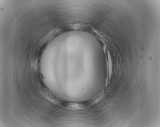 X0000087700611200706011746