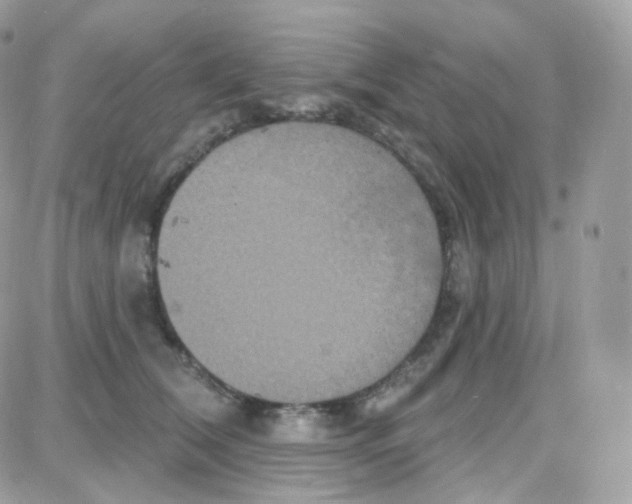 X0000087700612200706011746