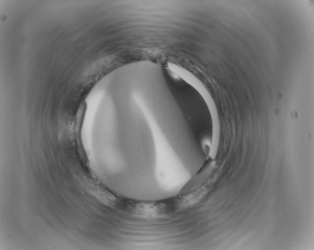 X0000087700613200706011746