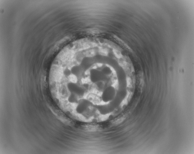 X0000087700615200706011746