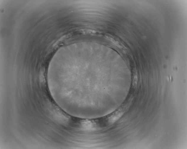 X0000087700616200706011746