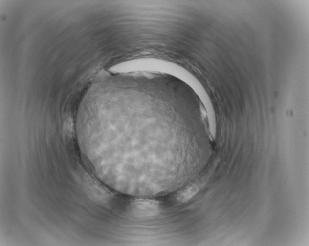 X0000087700617200706011746