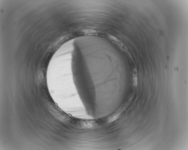 X0000087700618200706011746