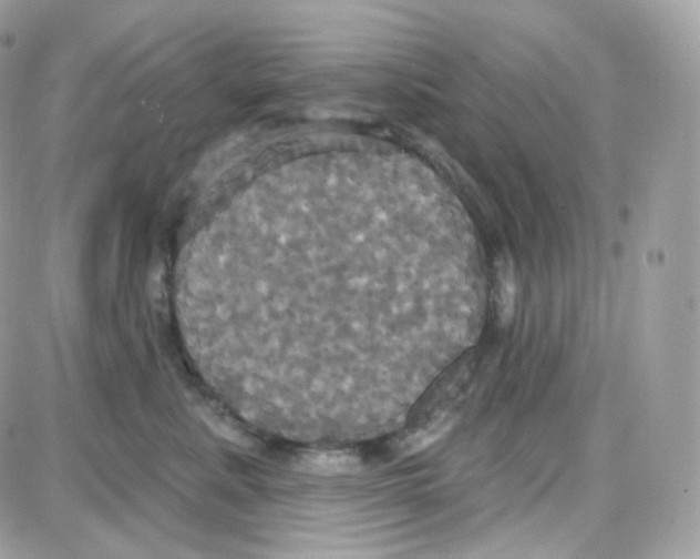 X0000087700619200706011746