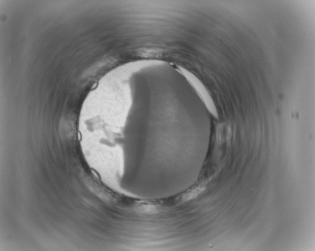 X0000087700620200706011746