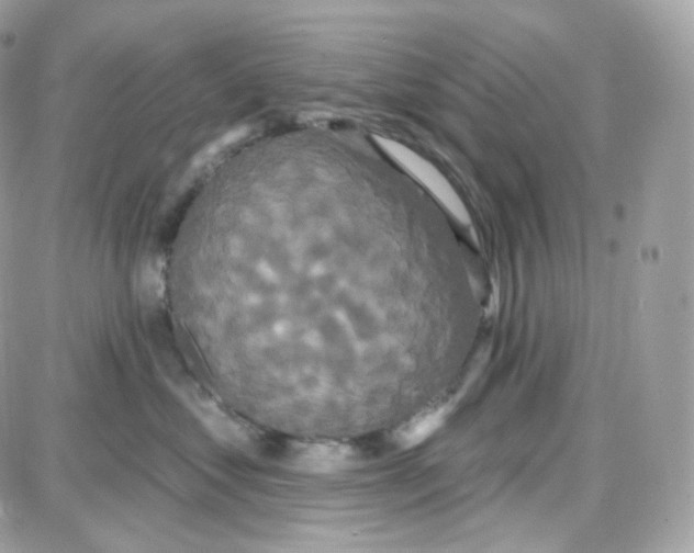 X0000087700621200706011746