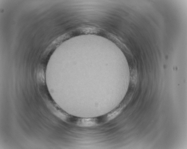 X0000087700622200706011746