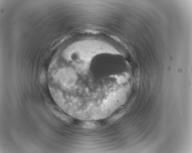 X0000087700623200706011746