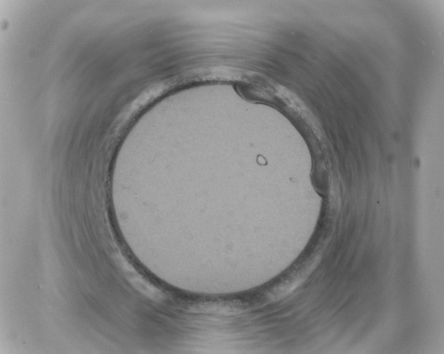 X0000087700625200706011745