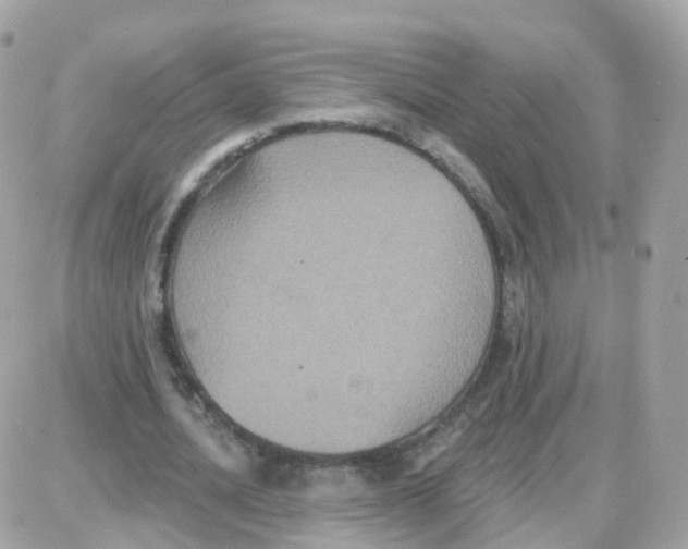 X0000087700628200706011745