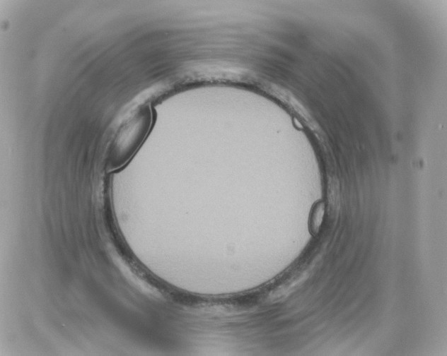 X0000087700629200706011745