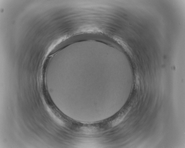 X0000087700630200706011745