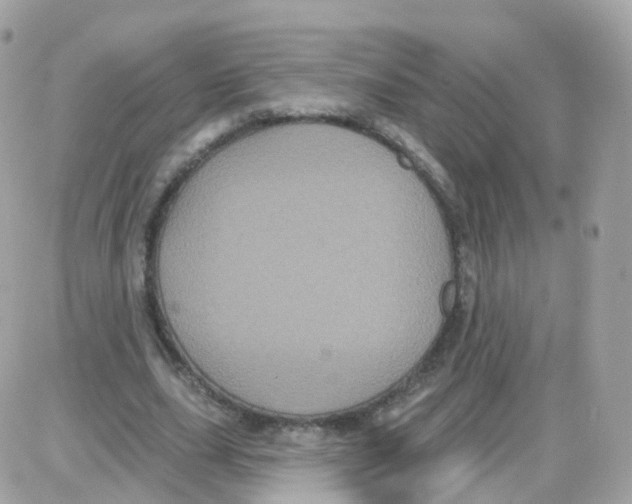 X0000087700631200706011745