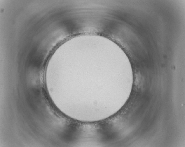 X0000087700632200706011745