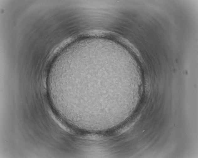 X0000087700633200706011745