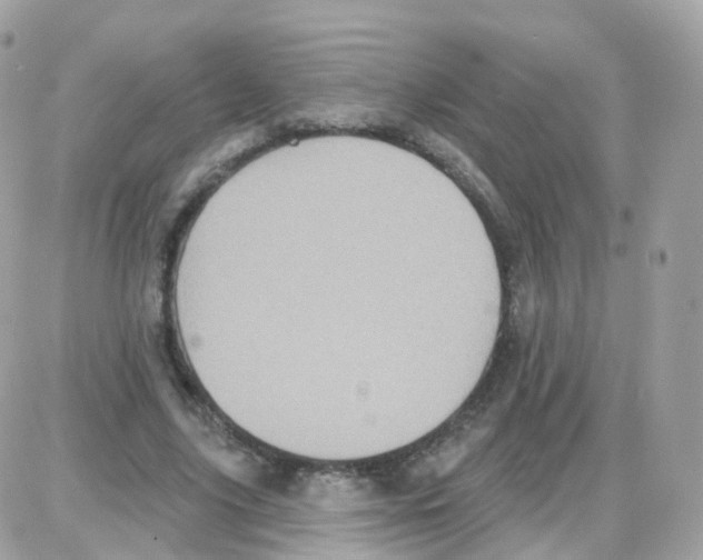 X0000087700635200706011745