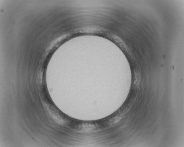 X0000087700636200706011745