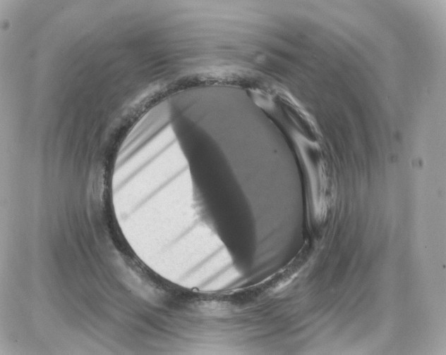 X0000087700637200706011746