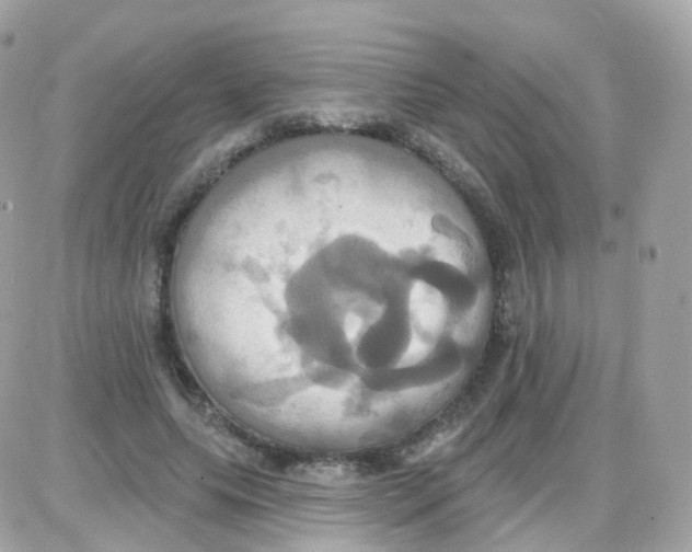 X0000087700639200706011746