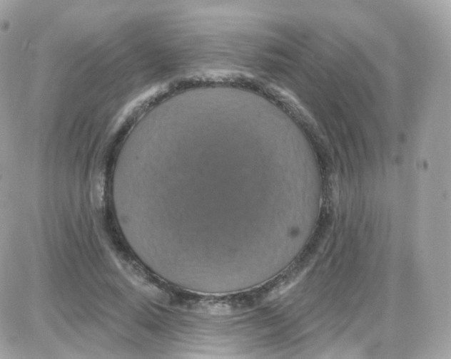 X0000087700640200706011746