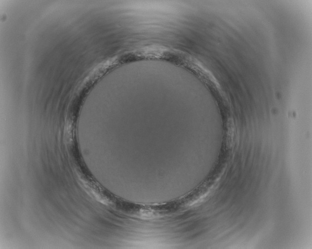 X0000087700641200706011746