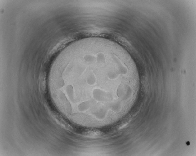 X0000087700642200706011746