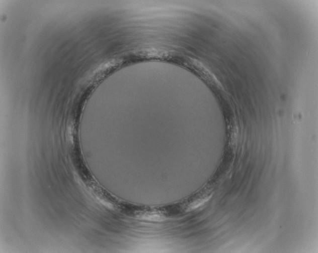 X0000087700643200706011746