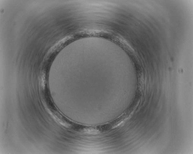 X0000087700644200706011746