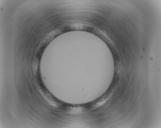 X0000087700645200706011746