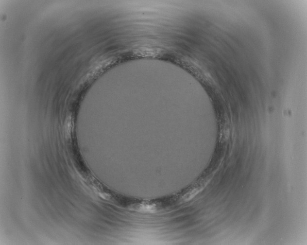 X0000087700647200706011746